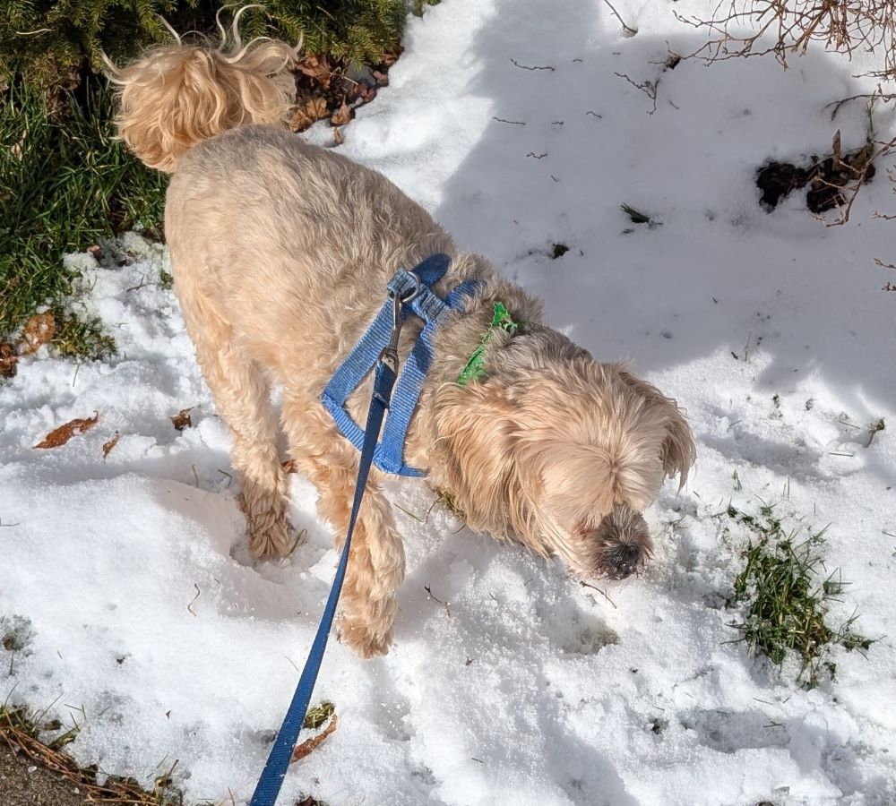 day11-1.jpg (190 KB)