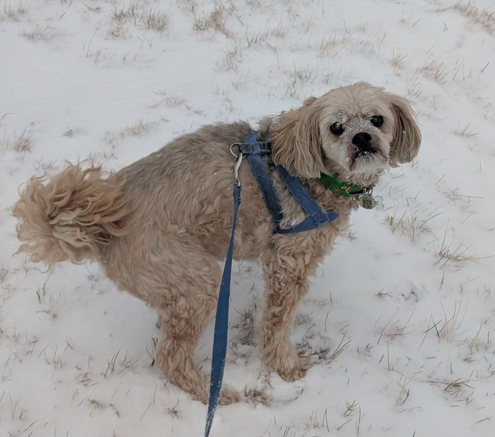 day14-1.jpg (267 KB)