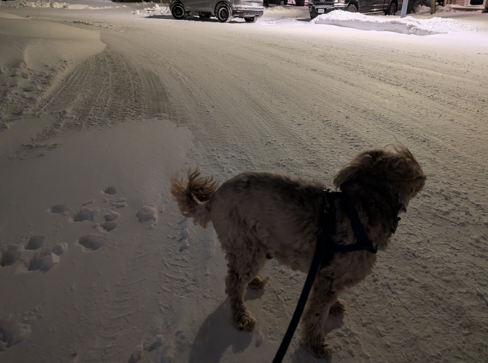 day23-1.jpg (240 KB)