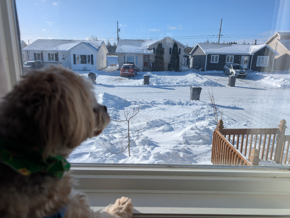 day24-1.jpg (260 KB)