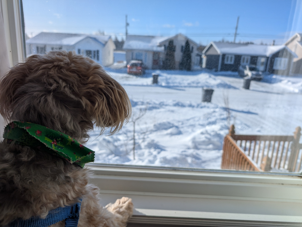 day24-2.jpg (213 KB)