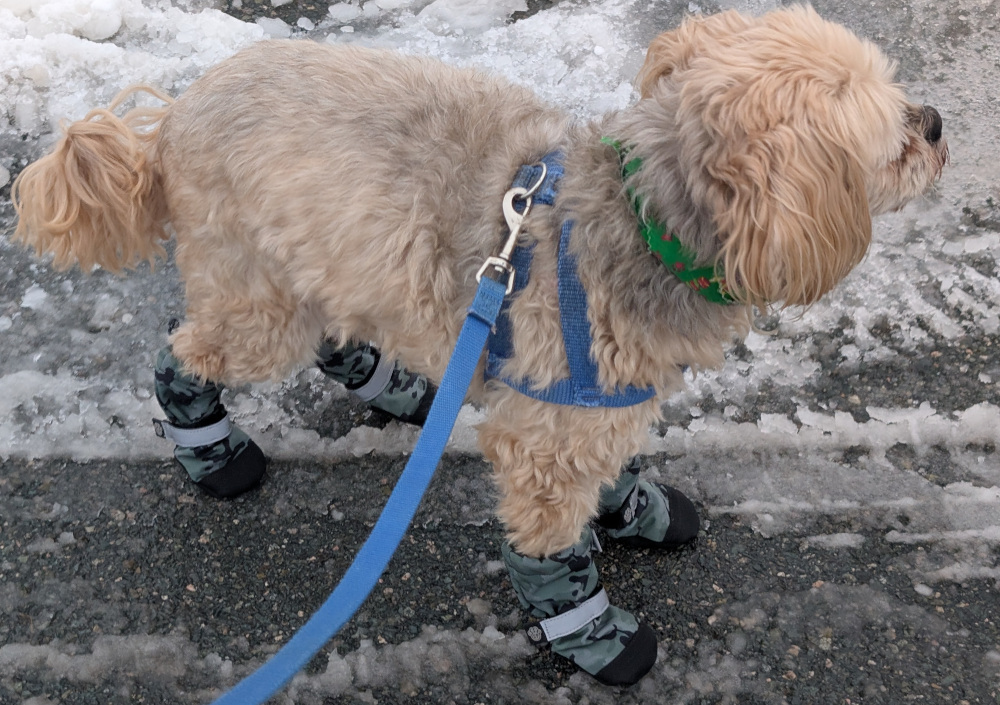 day25-1.jpg (318 KB)